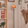 Longchamps Lampadaire LED Noir, 1 lumière