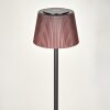 Longchamps Lampadaire LED Noir, 1 lumière