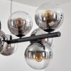 Gastor Suspension, Boule lumineuse, Suspension Clair, Fumé, 10 lumières