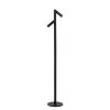 ANTRIM Lampadaire Luminaires Lucide LED Noir, 2 lumières