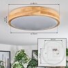 Sofo Plafonnier LED Blanc, 1 lumière, Télécommandes