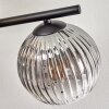 Gastor Plafonnier, Boule lumineuse Ambre, Clair, Fumé, 5 lumières