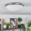 Banan Plafonnier, Spot de plafond Nickel mat, 2 lumières