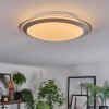 Calen Plafonnier, Spot de plafond LED Blanc, 1 lumière