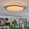 Calen Plafonnier, Spot de plafond LED Blanc, 1 lumière