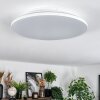 Norea Plafonnier, Spot de plafond LED Blanc, 1 lumière