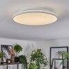 Norea Plafonnier, Spot de plafond LED Blanc, 1 lumière