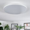 Norea Plafonnier, Spot de plafond LED Blanc, 1 lumière