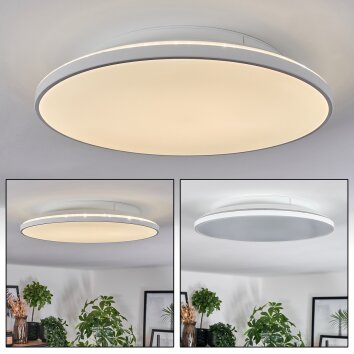 Norea Plafonnier, Spot de plafond LED Blanc, 1 lumière