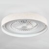 Benasal Plafonnier, Ventilateur de plafond lumineux LED Blanc, 1 lumière, Télécommandes