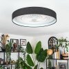 Benasal Plafonnier, Ventilateur de plafond lumineux LED Blanc, 1 lumière, Télécommandes