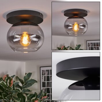 Apedo Plafonnier, Boule lumineuse Clair, Fumé, 1 lumière