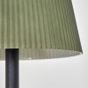 Longchamps Lampadaire LED Noir, 1 lumière