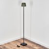 Longchamps Lampadaire LED Noir, 1 lumière