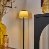 Longchamps Lampadaire LED Noir, 1 lumière