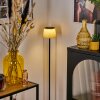 Longchamps Lampadaire LED Noir, 1 lumière