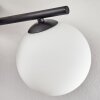 Gastor Plafonnier, Boule lumineuse Blanc, 4 lumières