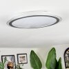 Arima Plafonnier LED Gris, Blanc, 1 lumière