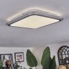 Arima Plafonnier LED Gris, Blanc, 1 lumière