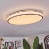 Anora Plafonnier LED Cuivre, Blanc, 1 lumière