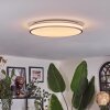 Anora Plafonnier LED Cuivre, Blanc, 1 lumière