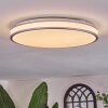 Arima Plafonnier LED Gris, Blanc, 1 lumière