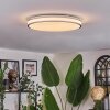 Arima Plafonnier LED Gris, Blanc, 1 lumière