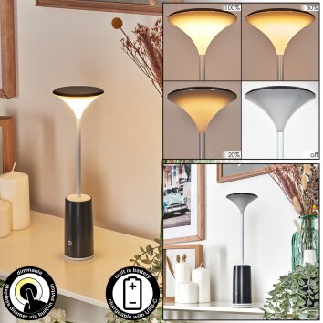 Eryon Lampe de bureau, Lampe à poser LED Noir, Blanc, 1 lumière