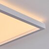 Xarel Plafonnier, Panel LED Blanc, 1 lumière