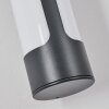 Biran Lampe murale d´extérieur, Applique murale LED Anthracite, 1 lumière