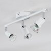 Gjedso Plafonnier, Spot de plafond LED Chrome, Blanc, 3 lumières