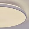 Borel Plafonnier LED Blanc, 1 lumière