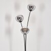 Gastor Boule lumineuse, Lampadaire Chrome, Clair, Fumé, 3 lumières