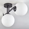 Gastor Plafonnier, Boule lumineuse Blanc, 3 lumières