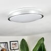 Sapioris Plafonnier LED Nickel mat, Blanc, 1 lumière