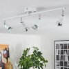 Gjedso Plafonnier, Spot de plafond LED Chrome, Blanc, 4 lumières