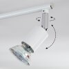 Gjedso Plafonnier, Spot de plafond LED Chrome, Blanc, 4 lumières