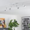 Gjedso Plafonnier, Spot de plafond LED Chrome, Blanc, 4 lumières