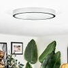 Kelan Plafonnier LED Argenté, 1 lumière