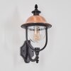 Gascon Lampe murale d´extérieur, Applique murale Cuivre, Noir, 1 lumière