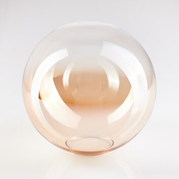 Abat-jour en verre Gastor Verre de rechange, pièce de rechange 15 cm Ambre, Clair Abat-jour en verre Gastor Verre de rechange, pièce de rechange 15 cm Ambre, Clair