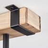 Storuma Suspension, Lampadaire Clair, 4 lumières