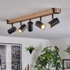 Storuma Suspension, Lampadaire Clair, 4 lumières