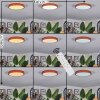 Sofo Plafonnier, Panel LED Blanc, 1 lumière, Télécommandes