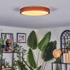 Sofo Plafonnier, Panel LED Blanc, 1 lumière, Télécommandes