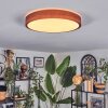 Sofo Plafonnier, Panel LED Blanc, 1 lumière, Télécommandes
