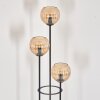 Koyoto Lampadaire 30 cm Bois foncé, Noir, 3 lumières