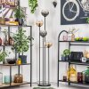 Koyoto Lampadaire 30 cm Ambre, Clair, Fumé, 4 lumières