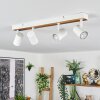 Gesteira Plafonnier, Spot de plafond Écru, Blanc, 4 lumières