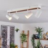 Gesteira Plafonnier, Suspension, Lampadaire Bois clair, Noir, 4 lumières